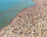 Крымские пляжи будут оценивать ракушками