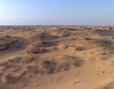 Сафари в пустыню Олешковские пески