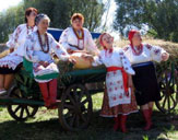 Сорочинская ярмарка переезжает в Петриковку