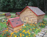 В государственном природном парке Гуцульщина будет дом пчеловода